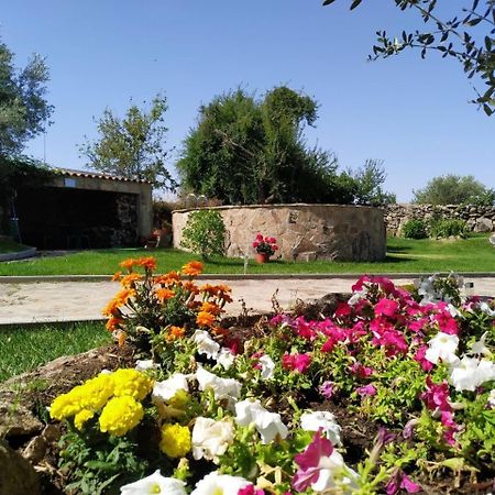 El Lagar Del Abuelo En Los Arribes Del Duero, Badilla, Самора Екстер'єр фото