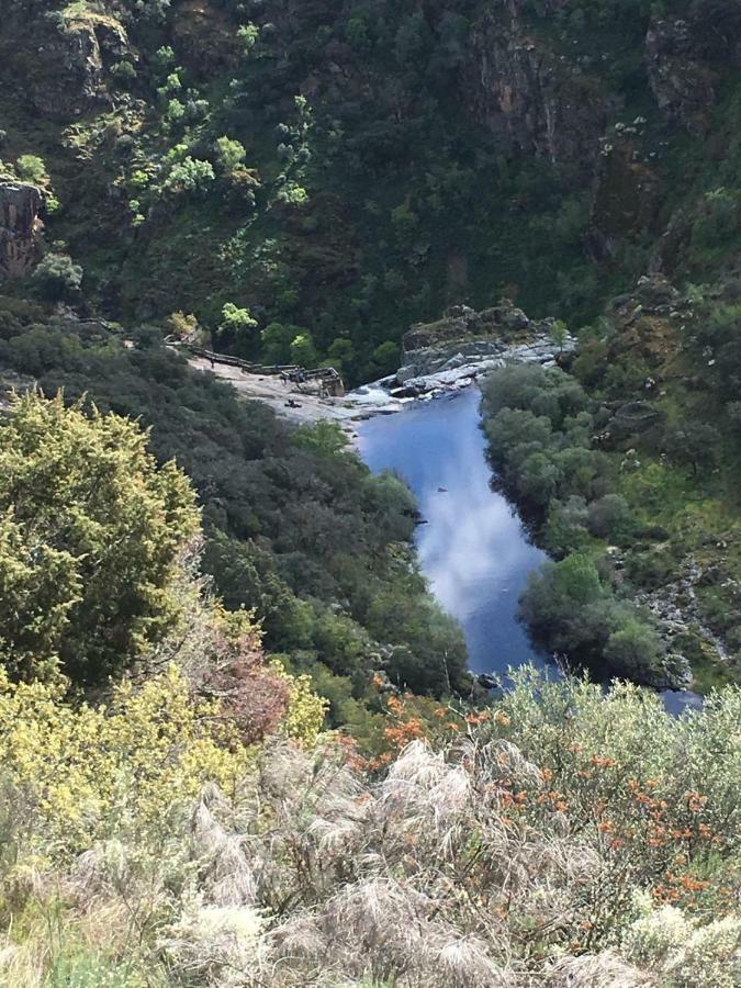 El Lagar Del Abuelo En Los Arribes Del Duero, Badilla, Самора Екстер'єр фото